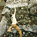Dyno