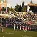 WSU Cougars