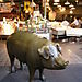 Pike Place Market