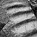 P1030722_copy