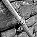 P1030645_copy