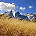 Torres del Paine Milli Parki