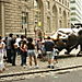 Wall street'in ünlü boğası