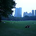 Central Park - Sheep Meadow