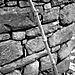 P1030643_copy