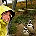 sicakkanli penguenler bunlar
