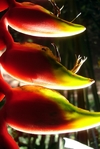 Dsc03100