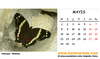 Mayis_copy_2