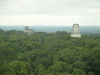 P1010767_2