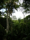P1010774