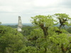 P1010781