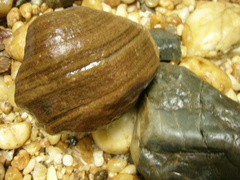 P1030041