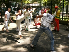 P1050867