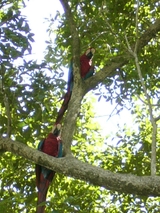 P1060033
