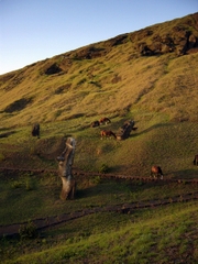 P1060531