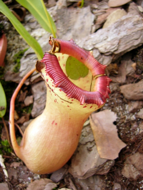 P1050822