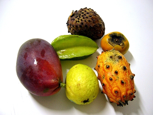 P1050882