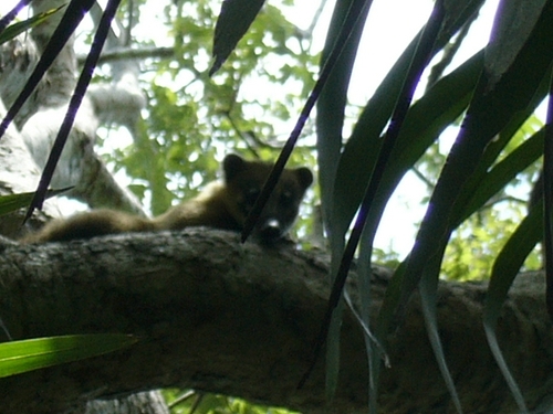 P1060008