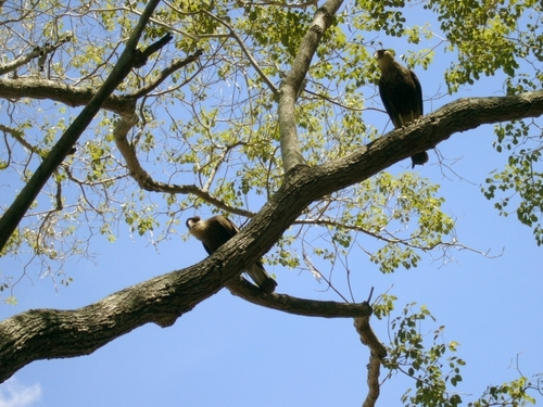 P1060032