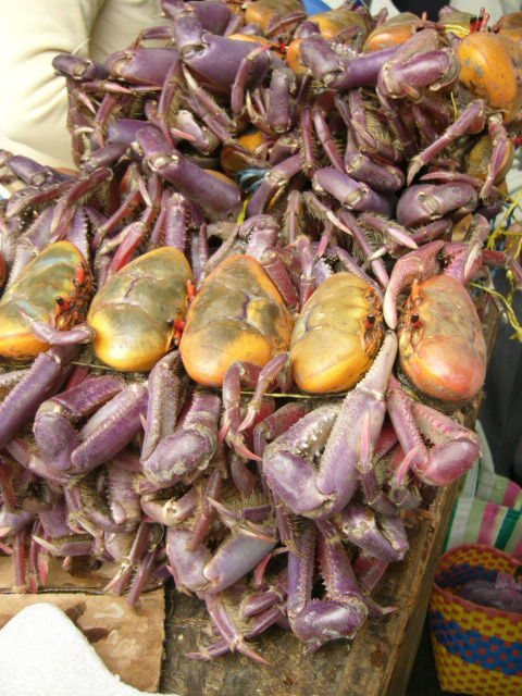 Otavalo'da pazarda 10 yengec(canli canli) 6 dolar!