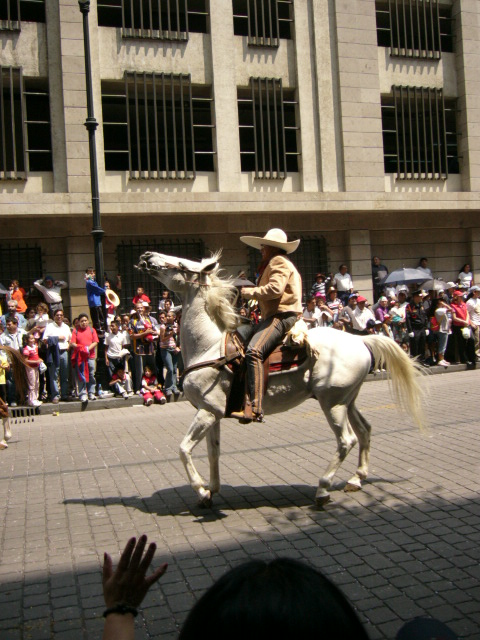 P1010390