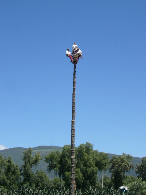Totonac usulü bungee!