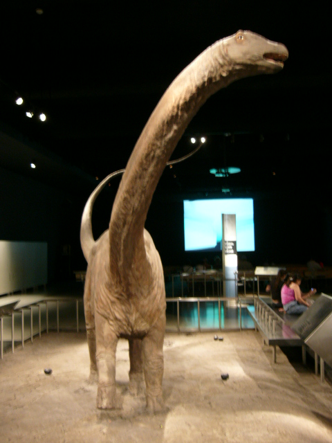 ....saurus(Doğal Tarih Müzesi)