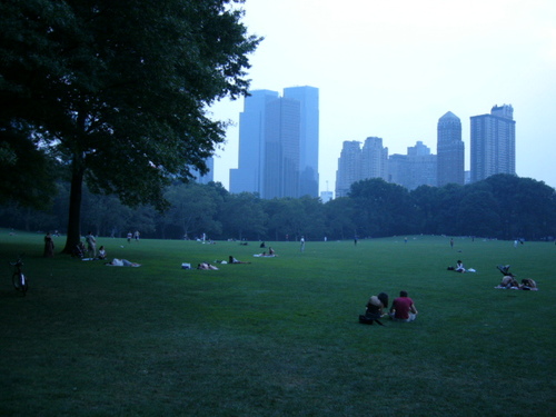 Central Park - Sheep Meadow