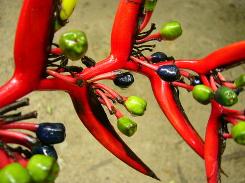 P1030438