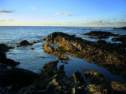 P1060155