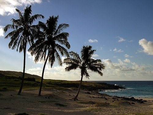 P1060397