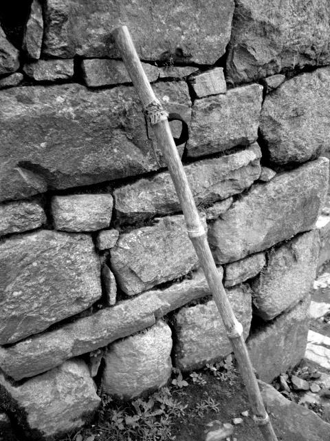 P1030643_copy
