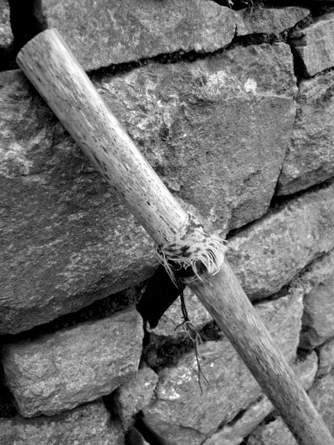 P1030645_copy