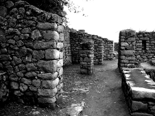 P1030649_copy