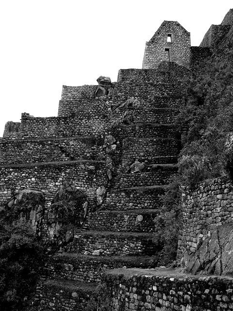 P1030697_copy