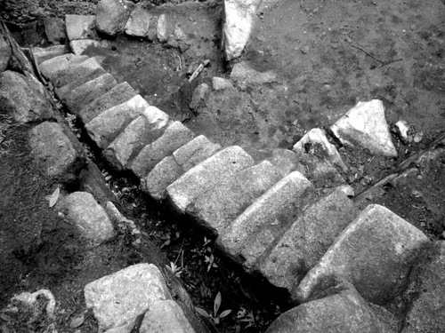 P1030700_copy