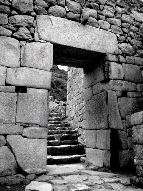 P1030705_copy
