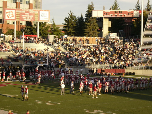 WSU Cougars