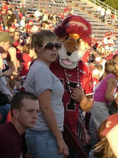 Cougar Fans