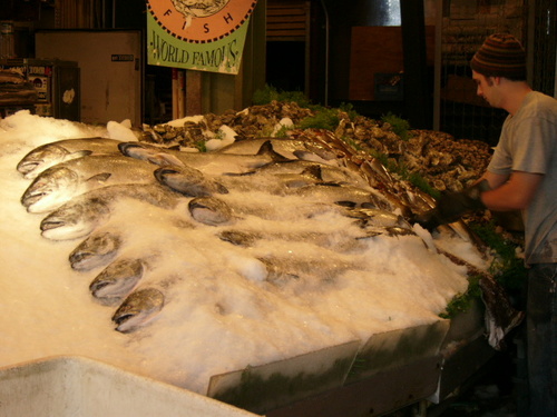 Buranın hamsisi