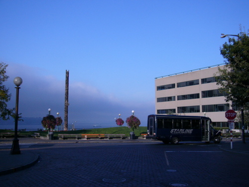 Çimenlik ve totem
