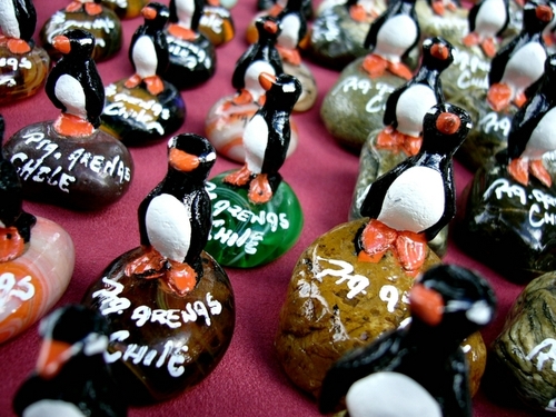 Souvenir / Punta Arenas