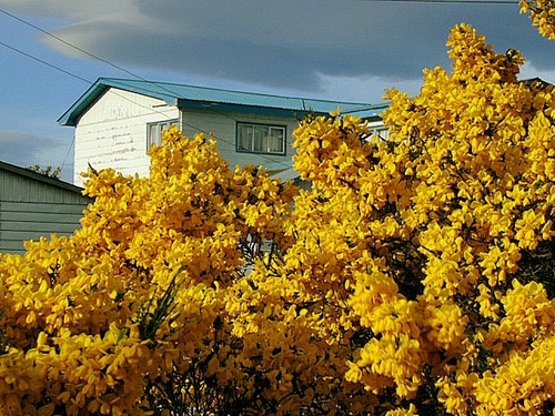 Puerto Natales / Patagonia