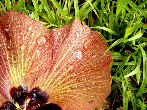 P1060820
