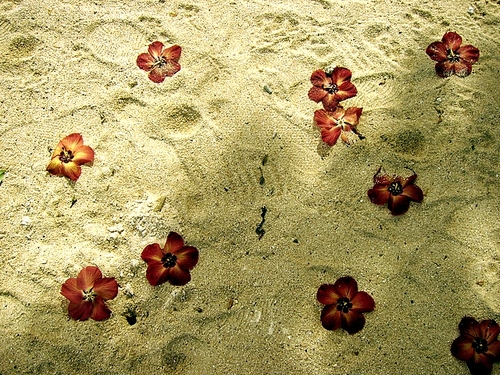 P1060827
