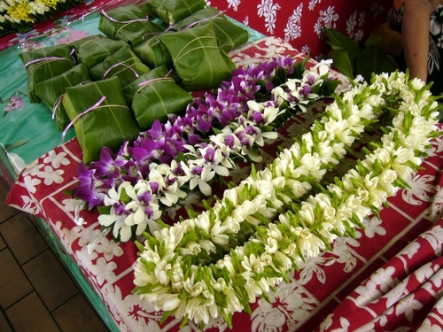P1060853